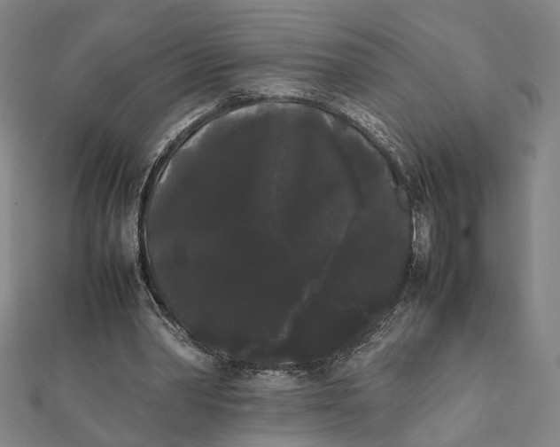 X0000112070390200908181225