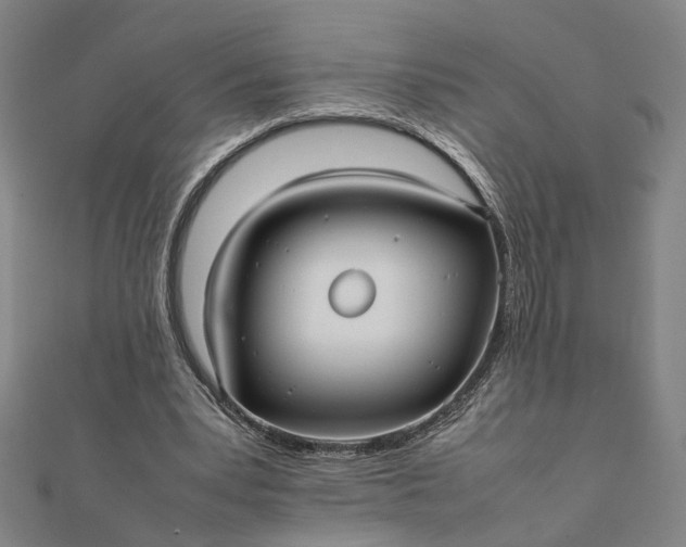 X0000112070391200908181225