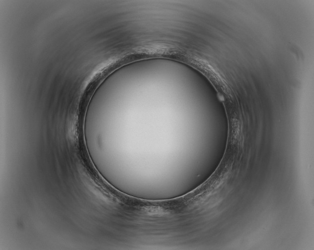 X0000112070392200908181225