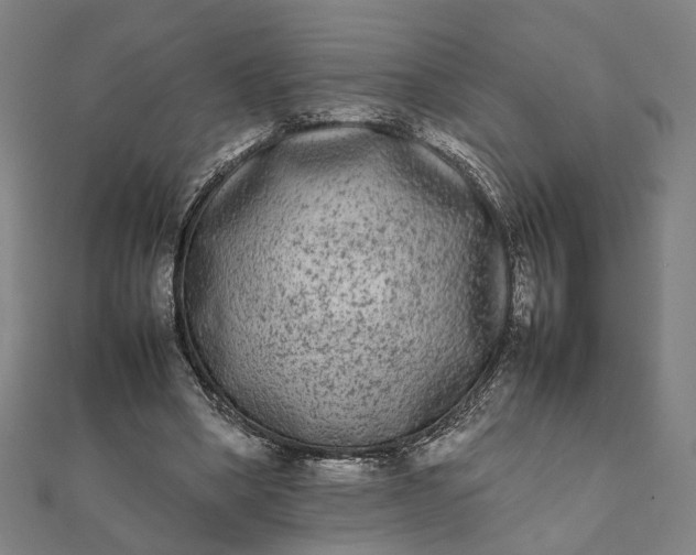 X0000112070394200908181225