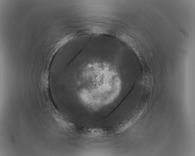 X0000112070395200908181225