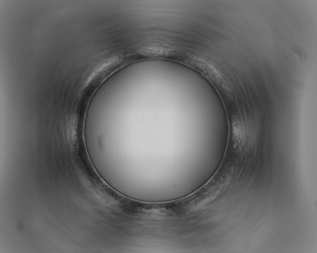 X0000112070396200908181225