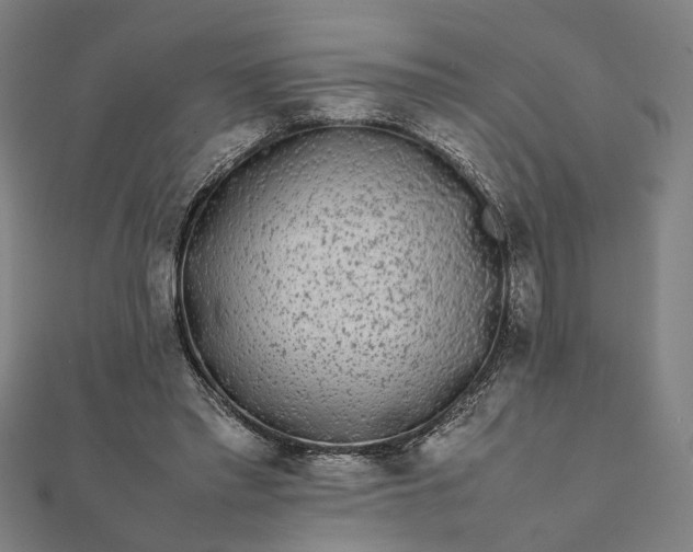 X0000112070397200908181225
