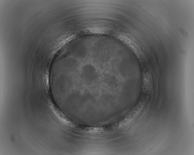X0000112070398200908181224