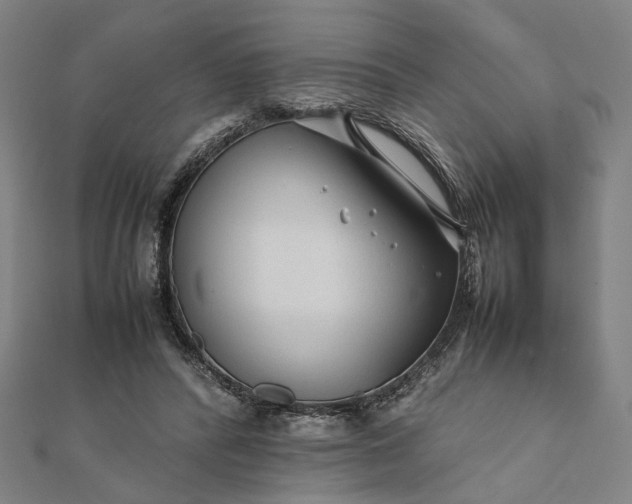X0000112070400200908181224