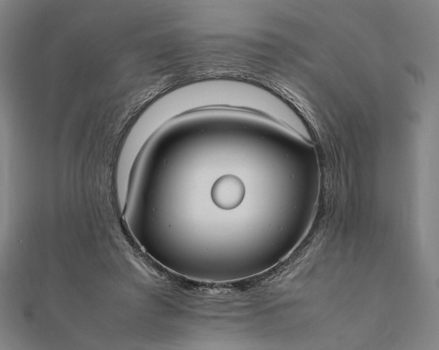 X0000112070401200908181224