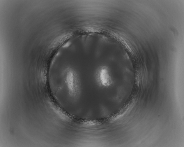 X0000112070402200908181224