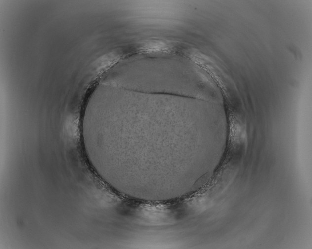 X0000112070403200908181224