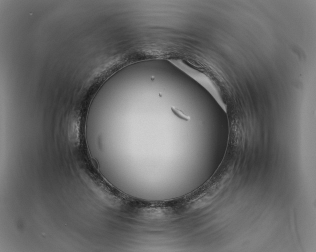 X0000112070404200908181224