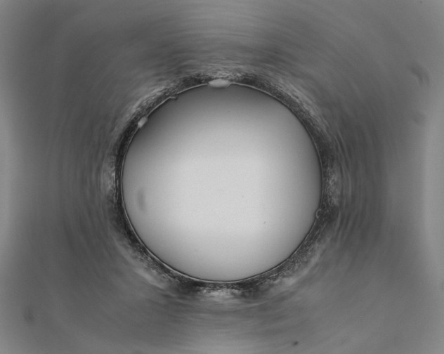 X0000112070407200908181224