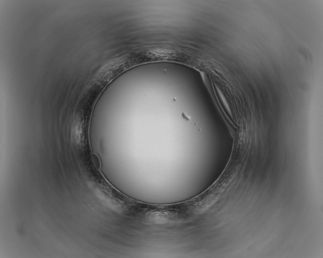 X0000112070408200908181224