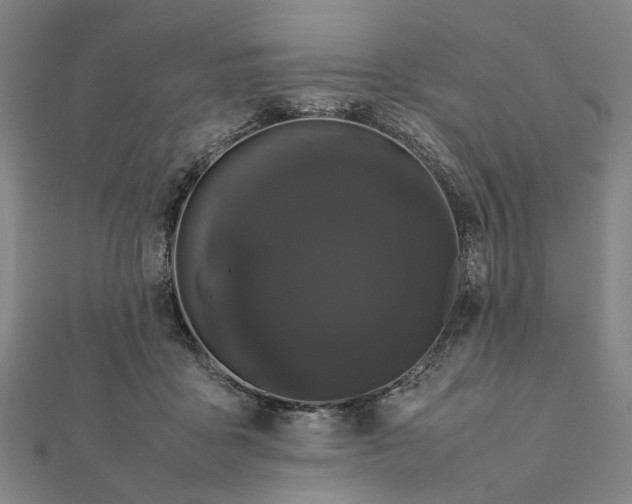 X0000112070411200908181224