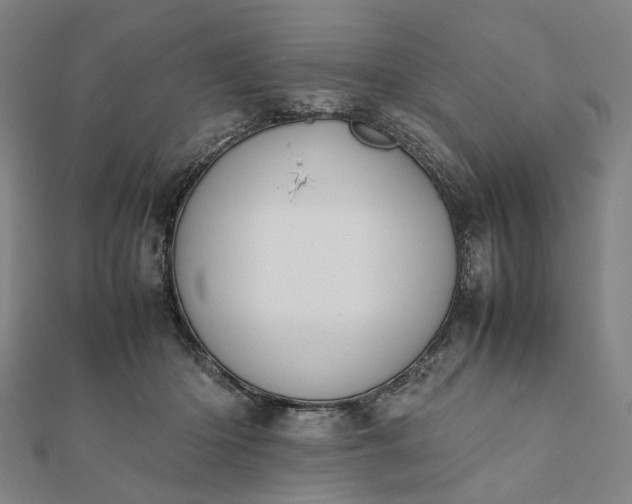 X0000112070414200908181224