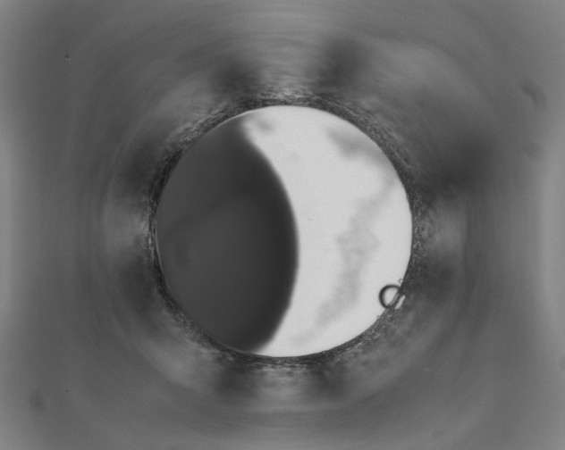 X0000112070415200908181224