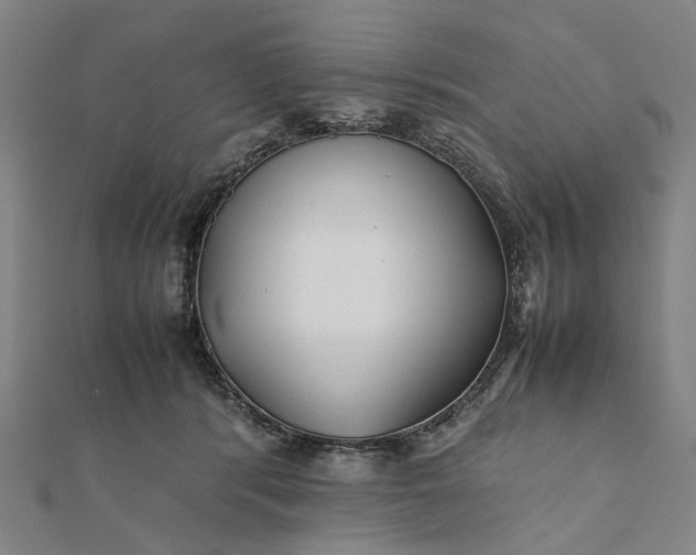 X0000112070416200908181224