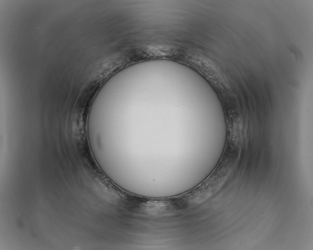 X0000112070418200908181224