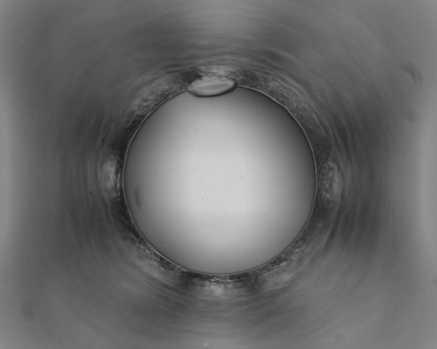 X0000112070420200908181224
