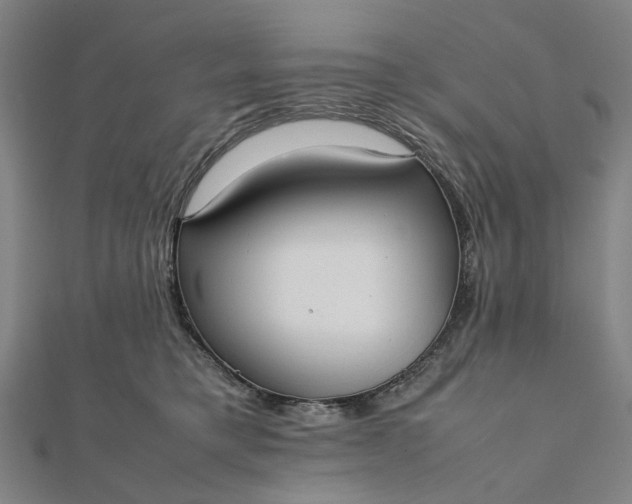 X0000112070421200908181224