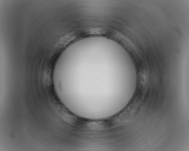 X0000112070422200908181224