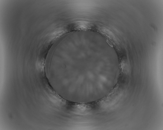 X0000112070423200908181224