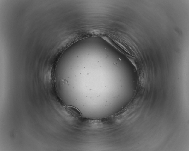 X0000112070424200908181224