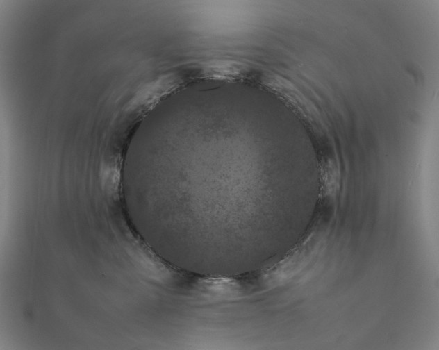 X0000112070427200908181224