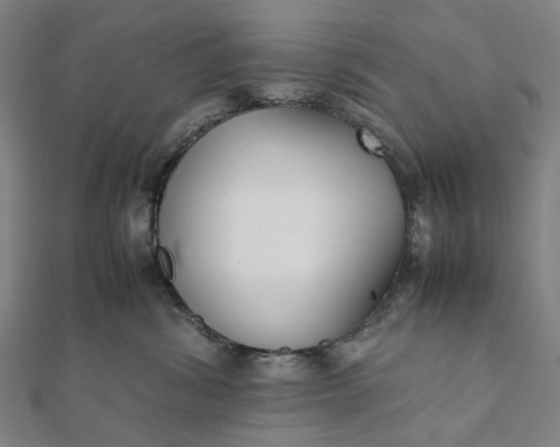 X0000112070428200908181224