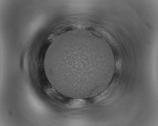 X0000112070429200908181224