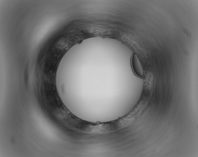 X0000112070430200908181224