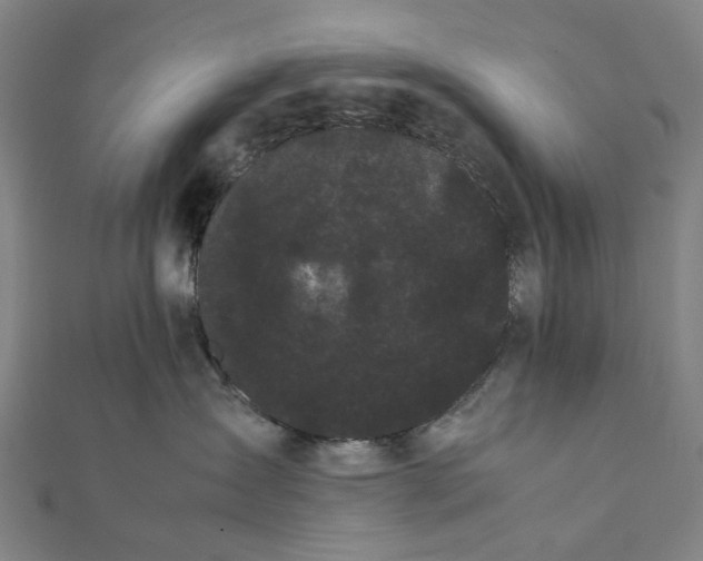 X0000112070431200908181224