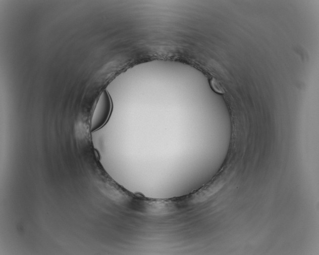 X0000112070432200908181224