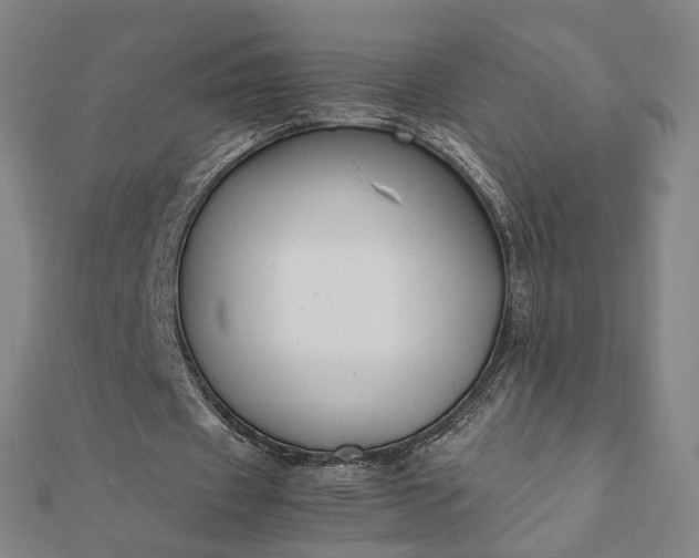X0000112070433200908181223