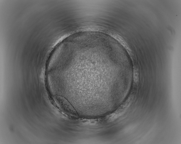 X0000112070434200908181223