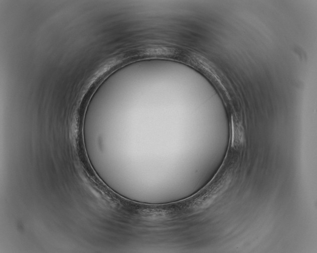 X0000112070435200908181223