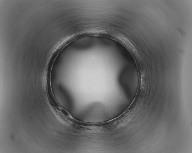 X0000112070436200908181223