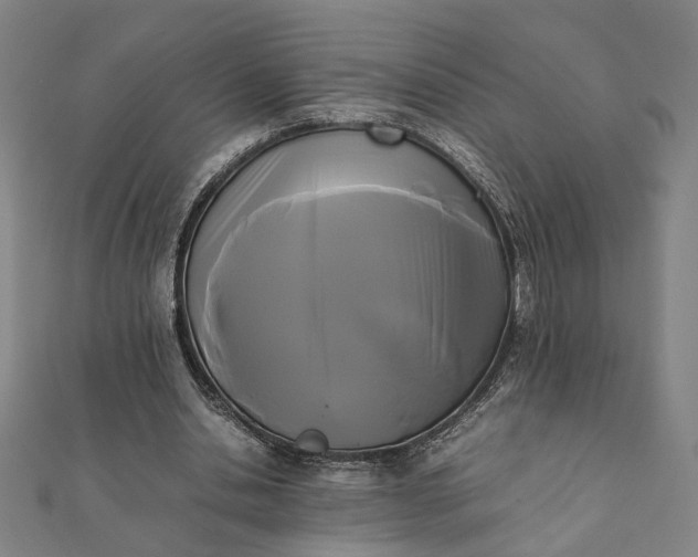 X0000112070438200908181224