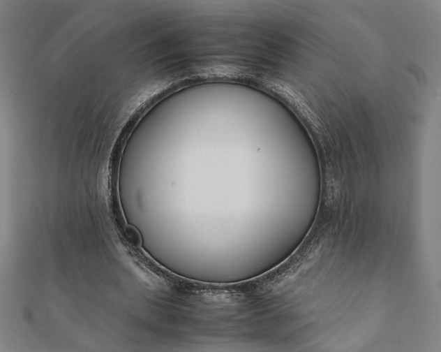 X0000112070439200908181224
