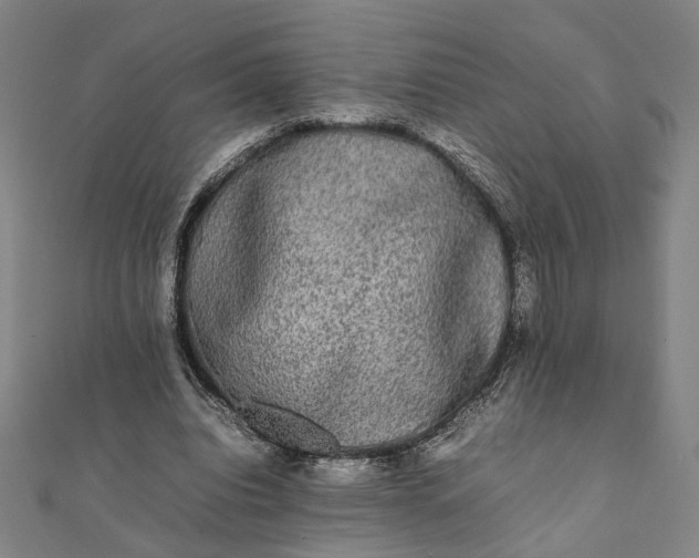 X0000112070440200908181224