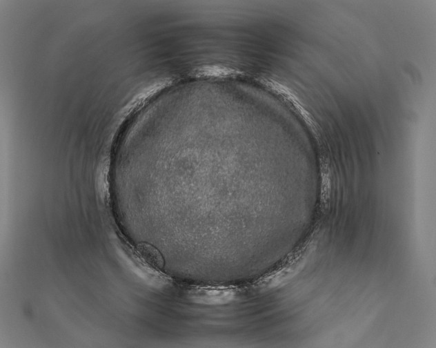 X0000112070443200908181224