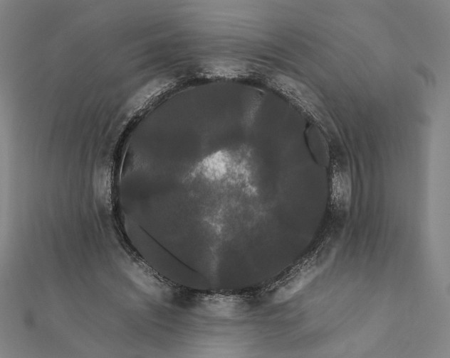 X0000112070444200908181224