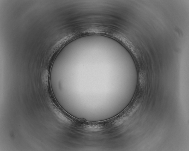 X0000112070445200908181224