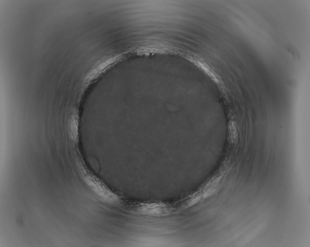 X0000112070446200908181224