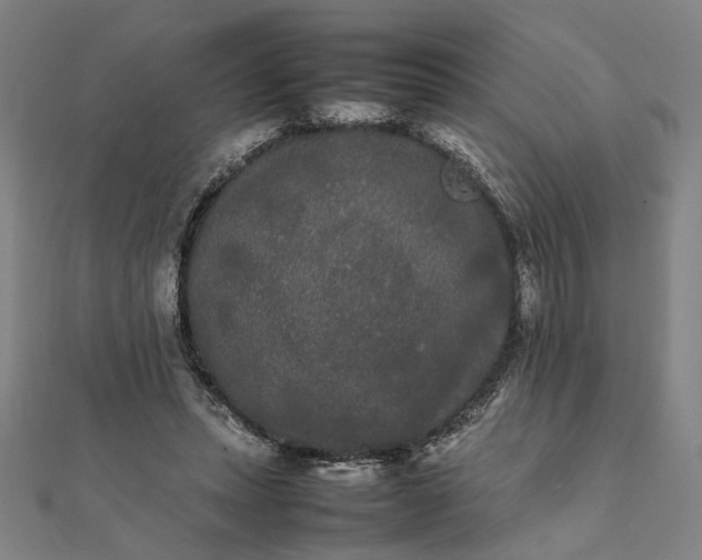 X0000112070447200908181224