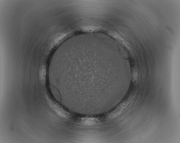 X0000112070448200908181224