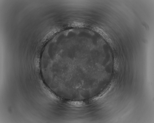 X0000112070449200908181224
