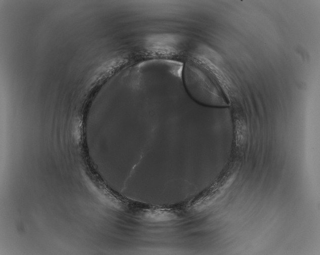 X0000112070451200908181224