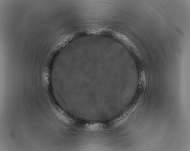 X0000112070452200908181224