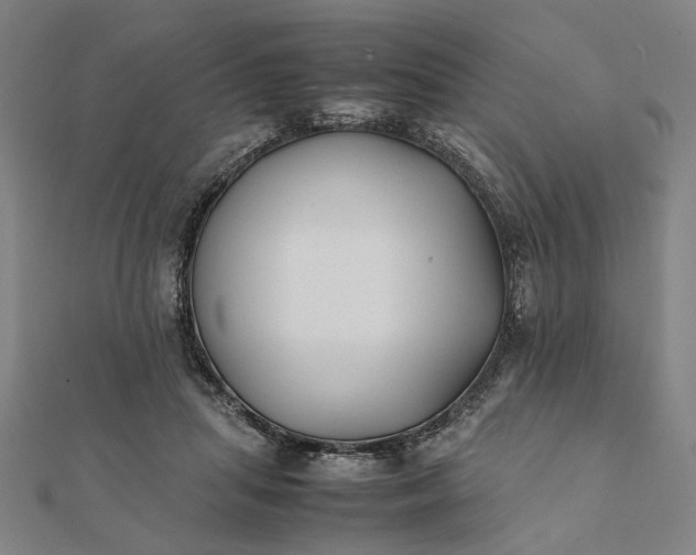 X0000112070455200908181224