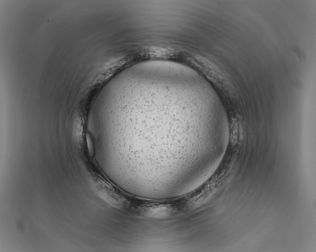 X0000112070456200908181224