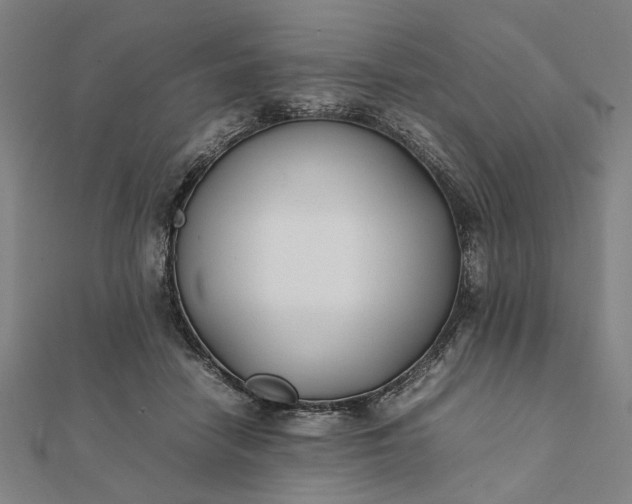 X0000112070458200908181224
